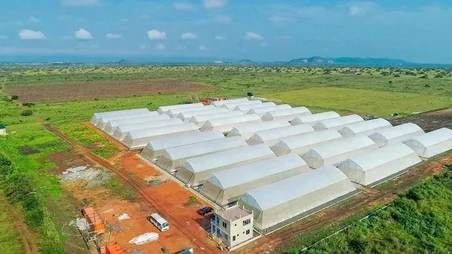 Aerial view of a block of MSC greenhouses in Nigeria