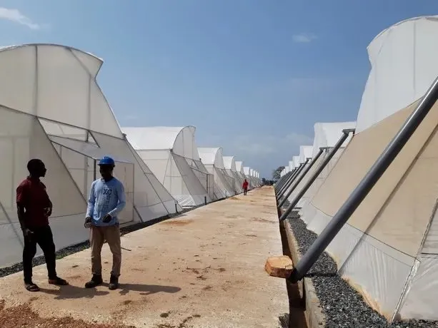 MSC greenhouses with large side ventilation in Nigeria