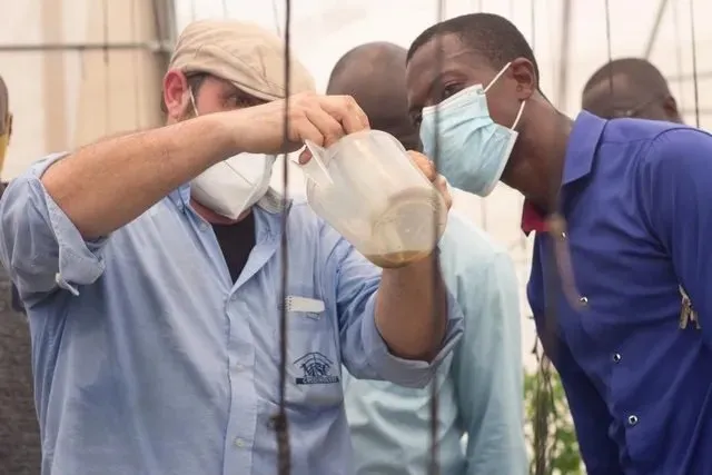 MSC agronomist checking a nutrient solution sample with local staff