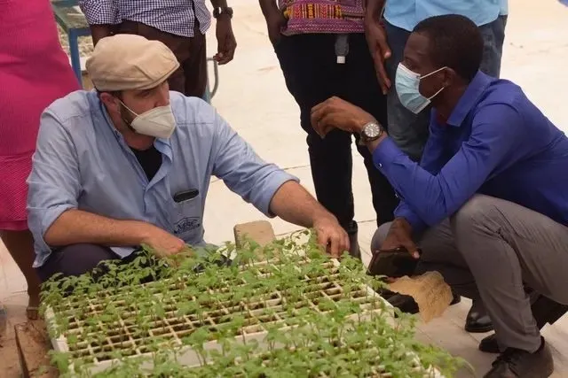 MSC agronomist inspecting seedling trays with local staff