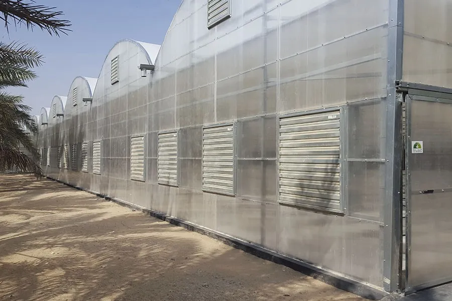 Romanesque multi-span greenhouse with side wall fans and louvres