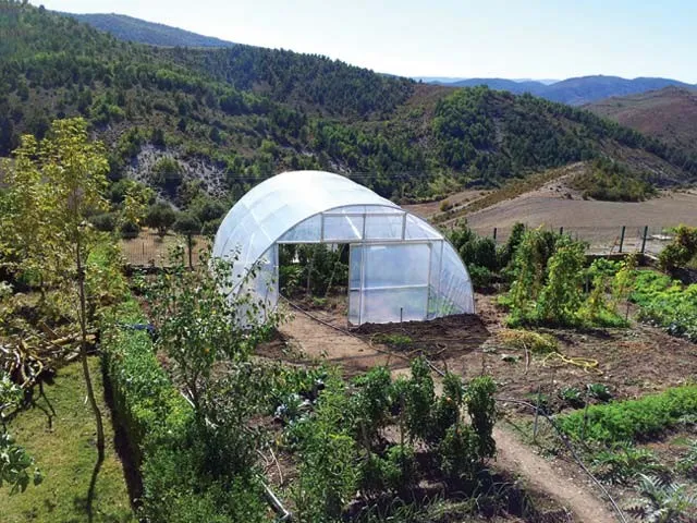 Single-span tunnel greenhouse in a hillside garden